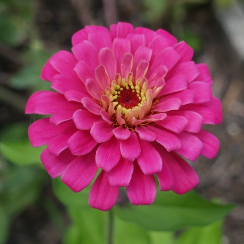 Meet your Posher, Jimmy